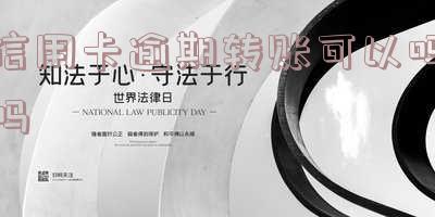 信用卡逾期转账可以吗吗安全吗-信用卡逾期转账可以吗吗安全吗知乎