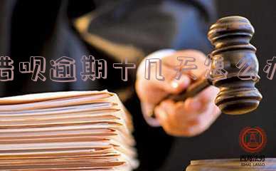 借呗逾期十几天怎么办啊,借呗逾期十几天怎么办啊还能借吗