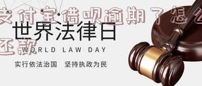 支付宝借呗逾期了怎么还款
