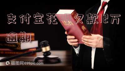 支付宝花呗欠款12万逾期怎么办,支付宝花呗欠款12万逾期怎么办理