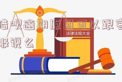 借呗逾期了怎么和客服沟通 借呗逾期了怎么和客服沟通电话