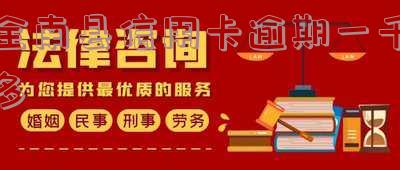 全南县信用卡逾期一千多