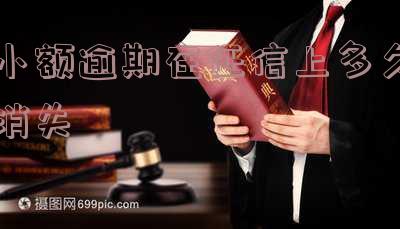 小额征信逾期怎么办「小额征信逾期怎么办理」