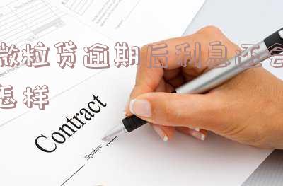 微粒贷逾期后利息还会怎样