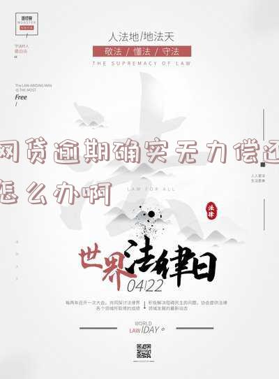 网贷逾期实在无力偿还怎么办-借呗欠了10万逾期4年了