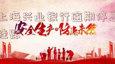 兴业停息挂账分期费多少-兴业停息挂账分期费多少