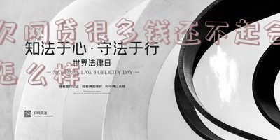 欠大量网贷还不起了怎么办 欠大量网贷还不起了怎么办呢
