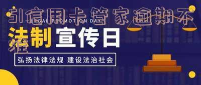 51信用卡管家逾期不准