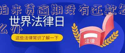拍来贷逾期没有还款怎么办啊-拍来贷逾期没有还款怎么办啊