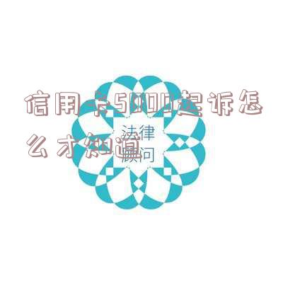 2020年信用卡起诉标准,2020年信用卡起诉标准是什么