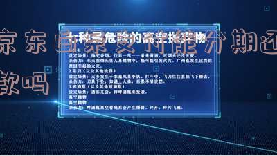 京东白条支付能分期还款吗