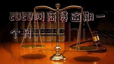 2020网商贷逾期一个月