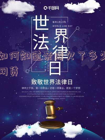 家人借了网贷怎样知道他借多少「家人借了网贷怎样知道他借多少钱」