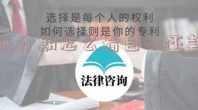 来分期怎么看自动还款