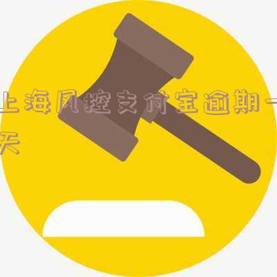 上海风控支付宝逾期一天怎么办,上海风控支付宝逾期一天怎么办啊
