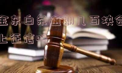 金东白条逾期几百块会上征信吗-金东白条逾期几百块会上征信吗知乎