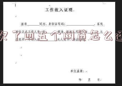 欠了四五个网贷怎么还钱,欠了四五个网贷怎么还钱呢