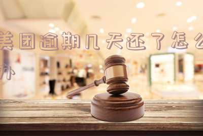 美团逾期了还款以后多久可以借出来-美团逾期了19天我把逾期的那期钱还了