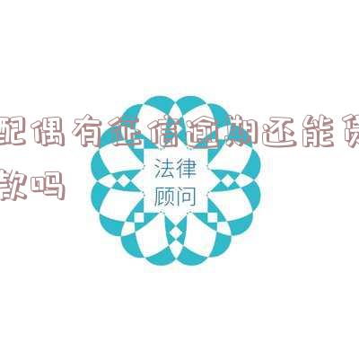 配偶有征信逾期还能贷款吗怎么办,配偶有征信逾期还能贷款吗怎么办理