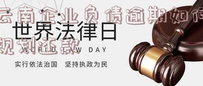 云南企业负债逾期如何规划还款账户,云南企业负债逾期如何规划还款账户余额