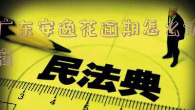 广东安逸花逾期怎么协商