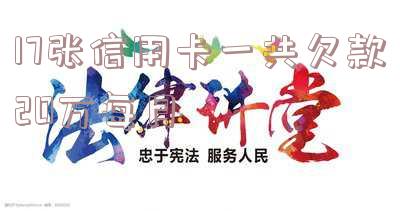 13张信用卡欠了20多万现在身无分文-10张信用卡欠27万怎么办