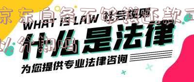 京东白条不够钱还款可以分期吗怎么还-京东白条不够钱还款可以分期吗怎么还的