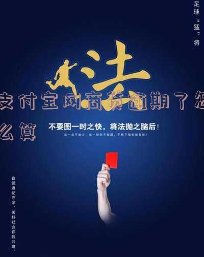 支付宝的网商贷逾期「支付宝的网商贷逾期几天上征信」