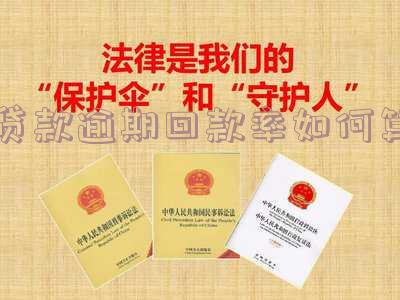 逾期回退率-逾期回款率如何算