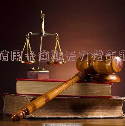 信用卡逾期无力偿还罪