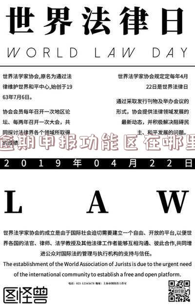 逾期申报功能区在哪里
