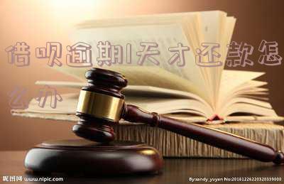借呗己逾期1天怎么办,借呗逾期一天了怎么办