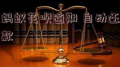蚂蚁花呗逾期自动还款怎么办?能否追回自动还款后的余额?