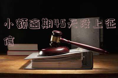 小额逾期45天没上征信有影响吗?如何应对小额逾期问题?