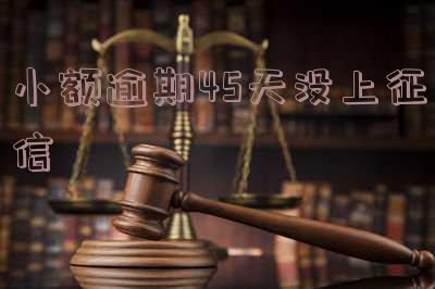 小额逾期45天没上征信