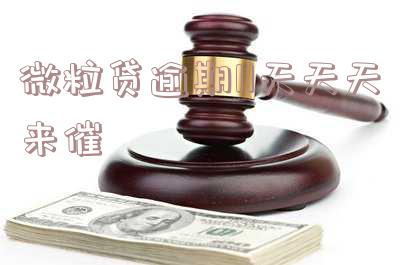 微粒贷逾期11天,逐日催款,影响及处理方法。