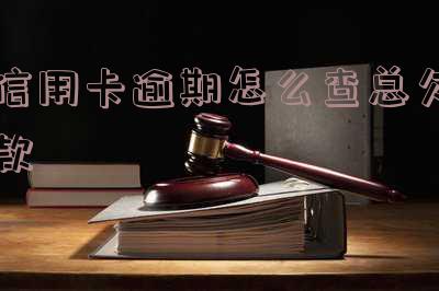 信用卡逾期如何查总欠款和还款记录?