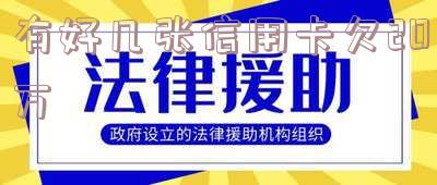 有好几张信用卡欠20万