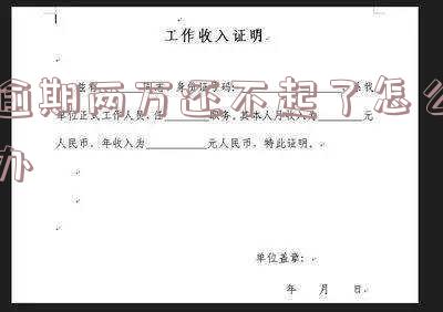 逾期两万还不起了怎么办