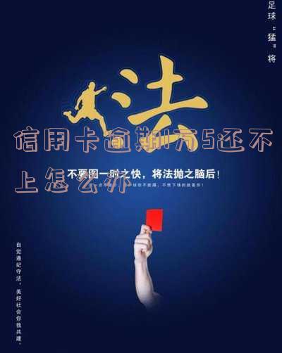 信用卡逾期1万5还不上怎么办