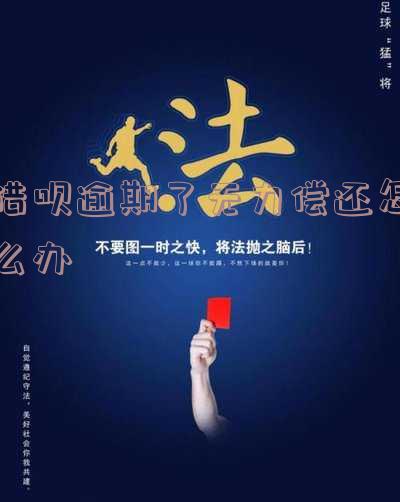 借呗逾期后不还会有什么后果?影响如何?