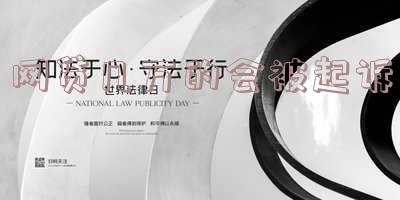 网贷多钱以后可以起诉还款人吗?