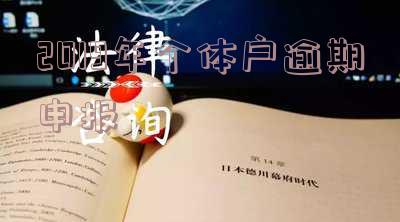 2019年个体户逾期申报
