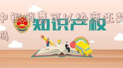 中银消费可以协商还款吗