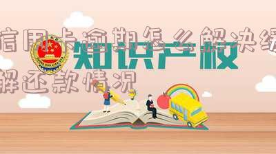 最新的信用卡逾期处理方案和流程