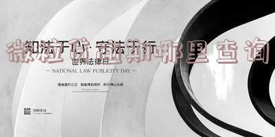 微粒贷逾期怎么看总欠款多少及逾期时长?