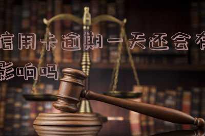 信用卡逾期1天对征信有影响吗?