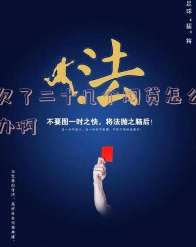 欠下网贷二十多万怎么自救,33岁欠债100万无力偿还怎办