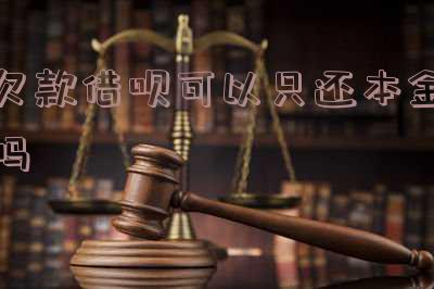 借呗还不上可以只还本金吗,怎么办?