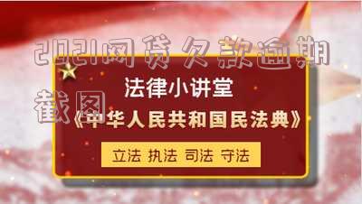 网贷欠款逾期图片真实截图